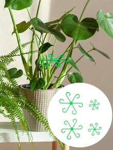 Set de 4 soportes de bambú con forma de caparazón de tortuga, para evitar que se caigan las macetas, estantería para macetas, adecuado para plantas en maceta, lirio de cala, plantas verdes - Multicolor - Ver 1