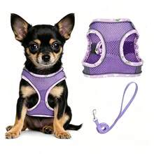 Arnés para perro sin tirones - Ligero, suave, ajustable, conjunto de arnés y correa pequeños, adecuado para cachorros y perros pequeños y medianos - Multicolor - Ver 14