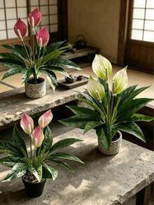 1株人造百合花盆栽，白色和粉色花朵，带3片绿叶，视觉效果逼真，无需养护，适合装饰客厅、卧室、玄关、阳台、花园、露台、户外景观（不含花盆） - 彩色 - 查看 3