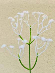 1件现代金色抽象人脸花瓶，奢华树脂雕塑花瓶，北欧美学家居装饰，艺术桌面摆件，客厅咖啡桌中心装饰品，送给她的独特礼物 - 彩色 - 查看 8