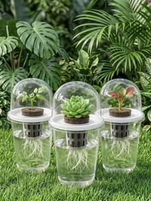 1pc Hydroponic Planting Pot: One Transparent Cylindrical Plastic Propagation Container - Part Of A Hydroponic Planting Kit. Made Of High Light Transmittance Material, Transparent Design Allows Real-Time Monitoring Of Root Growth. Suitable For Office, Home Or Garden - Multiple Styles - View 2