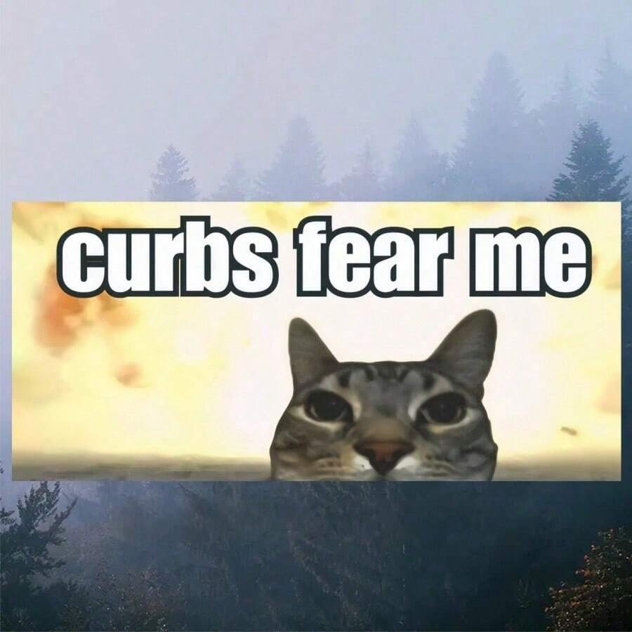 1张“Curbs Fear Me”趣味猫咪贴纸,防水耐用乙烯基材质,适用于笔记本电脑、滑板、行李箱、摩托车车窗、汽车等,新奇搞笑礼物 - 裝飾貼紙 - 查看 1