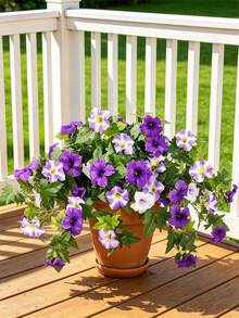2 pièces Fleurs de pétunias artificielles violettes pour la décoration extérieure, fleurs en soie fausse résistantes aux UV pour la décoration de la maison, du jardin, du balcon, de la véranda et de la cour. Plantes artificielles réalistes pour le mariage, la fête, la décoration saisonnière de printemps, intérieure et extérieure - Multicolore - Voir 9