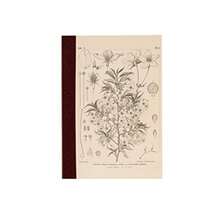 ほぼ日手帳 牧野富太郎/ほぼ日の方眼ノート A6 ヤマザクラ 3.7ミリ方眼 240ページ 方眼罫４色 手帳アクセサリー - A6 - チェックする 7