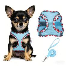 Arnés para perro sin tirones - Ligero, suave, ajustable, conjunto de arnés y correa pequeños, adecuado para cachorros y perros pequeños y medianos - Multicolor - Ver 21