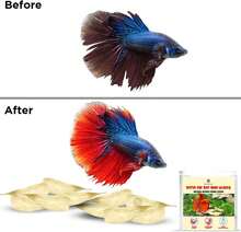 SunGrow 50 Pcs Betta Fin Rot Treatment Catappa  Almond Leaves, 2", Betta Water Conditioner Leaves For Fish Tank Aquarium, Leaf Create Realistic Blackwater River Habitat, Reduce Stress &Amp; Lower PH - ColorA - View 4