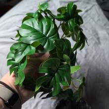 2株爬行动物仿真植物，吸盘式玻璃缸植物，两栖动物缸躲藏悬挂植物，宠物繁殖箱栖息地植物，热带雨林植物，适用于蜥蜴、睫角守宫、鬃狮蜥、蛇类，家居装饰，鱼缸装饰 - 彩色 - 查看 7