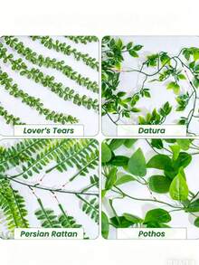4 piezas de plantas colgantes artificiales, helecho persa falso, suculenta, vid de Mandeville, enredaderas de pothos siempre verdes, decoración del hogar para pared, balcón, jardín, interior y exterior - Verde - Ver 3