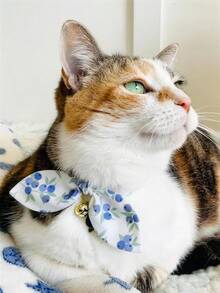 1 pieza Collar de gato con lazo y estampado de frutas de arándanos, collar ajustable para mascotas con campana adecuado para perros y gatos pequeños - Azul - Ver 8