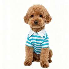 1pc 2026 New Striped Pet Clothes, Ins Style Classic Polo Shirt For Cats & Dogs, Suitable For Indoor & Outdoor, Viral Photo Prop - Màu xanh lam - Xem 8