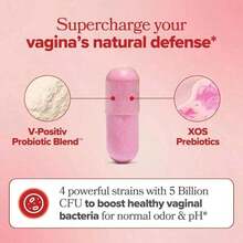 Gozycity- Vaginal Probiotics – 60 Count |     PH Balance + Prebiotics |     Women's Intimate Health, Odor Control & Feminine Freshness |     30-Day Supply – Buy Now & Save - 1 - 查看 2