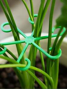 Set de 4 soportes de bambú con forma de caparazón de tortuga, para evitar que se caigan las macetas, estantería para macetas, adecuado para plantas en maceta, lirio de cala, plantas verdes - Multicolor - Ver 11