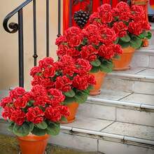 60 bông hoa tulip đỏ nhân tạo, chia làm 4 bó, chống tia UV, dùng trang trí ngoài trời với lá xanh, thích hợp cho vườn, sân, đám cưới và trang trí trung tâm nhà cửa. - Nhiều màu - Xem 4
