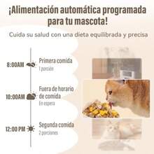 5L con Camara 2 en 1 Comedero Automatico Perros WiFi 2.4G Alimentador Automático para Gatos con App Control Remoto Grabación de Voz Temporización depósito de agua - Bebedero y comedero 2 en 1 - Ver 7