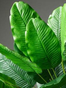 Set de 2 piezas con 24 hojas grandes artificiales de árbol de plátano tropical, ramas de ave del paraíso de plástico de 90-120cm, hojas de palma falsas, hojas de monstera verdes, hojas de violín reales al tacto, follaje artificial para decoración del hogar, oficina, jardín y fiestas - Decoración de plantas de plástico para interiores y exteriores, plantas tropicales altas (maceta no incluida) - Verde Oliva - Ver 7