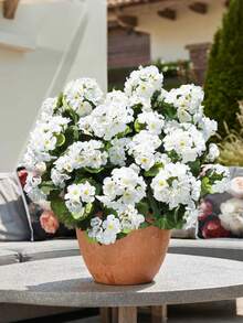 1pc Artificial Gypsophila Fake White Gypsophila Cluster Decorative Flowers, Outdoor Indoor Home Garden Cemetery Vase Tabletop Centerpiece - Multicolor - View 2
