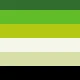 Green Football