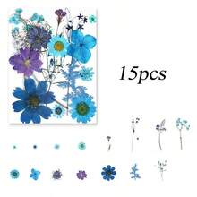 15件天然干花套装 - 压花，适用于剪贴簿、照片树脂相框、蜡烛装饰树脂DIY工艺品、书签、艺术装饰品、婚礼贺卡、环氧树脂、信封、装饰画、制作手机壳、蜡烛、肥皂等，是送给女性、女孩的完美生日礼物、妇女节礼物、母亲节礼物。 - A - 查看 10