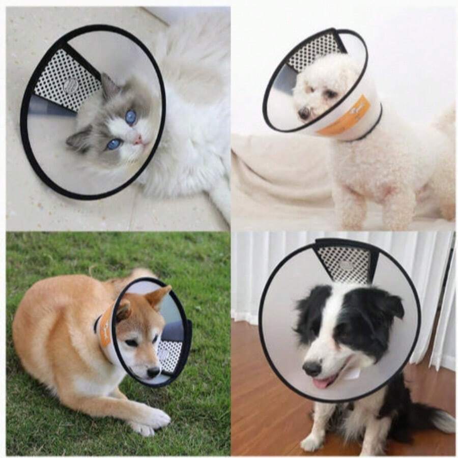 Halsband för hund och katt, halsband för Elizabeth, stor hund, medelstor hund, liten hund, anti-bett halsband, halsskydd, pälsvårdshalsband, återhämtningshalsband - Svart - Visa 1