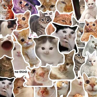 50pcs Funny Cat Expression Stickers, Suitable For Scrapbooking, Diary, Notebook, Tablet, Water Bottle, Phone Decoration