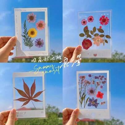 20/60 miếng dán tự dính thủ công - Khung ảnh & Dấu trang [20 miếng/gói] Với thiết kế lá và hoa hình học bóng bẩy, những miếng dán nhựa tái sử dụng này rất tuyệt vời để làm sổ lưu niệm, đánh dấu nhật ký và trang trí nhà cửa (Màu trắng). Thu thập những chiếc lá rụng theo mùa, ghi lại những hành trình cuộc sống vào mùa xuân, mùa hè và mùa thu. Chất lượng cao, tinh tế và bền, với nhiều kiểu dáng ngẫu nhiên.