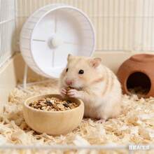 1pc New Small Pet Feeding Bowl, Hamster And Parrot Water Bowl, Durable And Easy To Clean, Suitable For Birds And Small Pets, Cage Feeder, Also Can Be Used As Decor - View 4