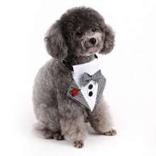 Babero para perros al estilo inglés, pañuelo triangular para boda, pañuelo para mascotas, accesorio de traje de boda - Multicolor - Ver 7