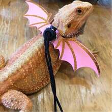 1pc Adjustable Leather Lizard Harness & Leash Set With Colorful Wings, Suitable For Small Pets Outdoor/Indoor Training - Multicolor - View 4