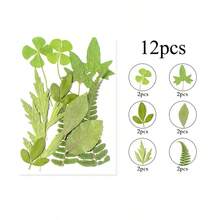 12入/包 DIY 植物標本葉片，適用於相框壓花彩繪裝飾、派對小禮、剪貼簿、書籤、手工藝與藝術裝飾、賀卡、環氧樹脂、信封、裝飾彩繪、手機殼、蠟燭與手工皂製作 - A - 查看 10