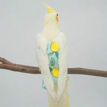 1pc Random Color Pet Bird Diaper Pants, Urine Pad, Poop Bag, Flight Suit For Pigeons & Parrots - 1PC - View 10