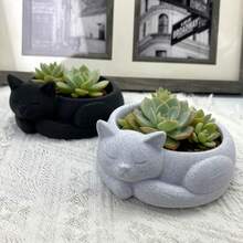 Chậu trồng cây hình mèo ngủ nhiều màu sắc, màu đen trắng, hình mèo dễ thương, thích hợp trồng trong nhà, làm từ xương rồng và cây không khí, cây nhỏ trang trí nhà cửa. - 1 CÁI - Xem 5