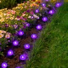 UMEUC 30LED Outdoor Solar Ground Lights, IP54  Weather-Resistant Pathway Lights For Garden Walkway, Yard, Patio, Camping, Party, Wedding, Festival Decorative Landscape Lighting - Purple - View 4