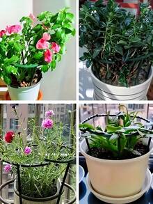 一套(4个弯支架+4根直杆),25厘米塑料植物支撑环,适用于温室、花园,半圆形固定杆,用于室内花卉和攀援植物,可调节高度的柔性盆景工具,温室园艺,室内花架立柱,可调节支架,耐候支撑,轻便种植工具,花园支撑环,温室种植者,家庭园艺 - 多色 - 查看 8