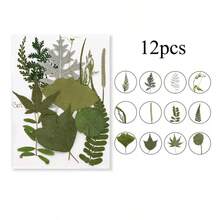 12入/包 DIY 植物標本葉片，適用於相框壓花彩繪裝飾、派對小禮、剪貼簿、書籤、手工藝與藝術裝飾、賀卡、環氧樹脂、信封、裝飾彩繪、手機殼、蠟燭與手工皂製作 - A - 查看 7