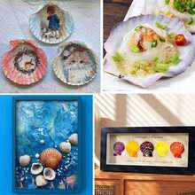 30 PCS Seashells Crafts 2-3 Inches White Natural Bulk Scallop Shells Decorating Crafts Decor Wedding Decoration Beach Theme Party Home Decor. - 23 Inch - View 5