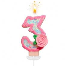 创意畅销0-9数字字母生日蜡烛,手工DIY生日蛋糕蜡烛,节日、母亲节、派对装饰蜡烛,粉色玫瑰花轮廓,亮片点缀,色彩缤纷,优雅别致,适用于婚礼、生日庆典、周年纪念等场合。 - 粉紅色描邊玫瑰花 - 查看 14