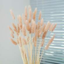 60 根卡其色人造兔尾草，家居装饰仿真兔尾草茎，适用于波西米亚风插花、DIY 手工艺品、家居厨房和婚礼装饰、派对、母亲节装饰、感恩节装饰、DIY 花环装饰、花束、摄影道具装饰（白色） - 淺橘色 - 查看 5