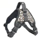 Leopard Print