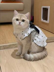 1pc Pet Dress, Spring//Cat Clothes For Teddy, Poodle, Bichon Frise, Cute Romantic Heart Strap Ruffle Dress, Soft Fabric Suitable For Medium/Small Pets - Black - View 11