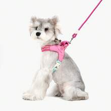(2件套)小型犬海绵手柄胸背带和牵引绳套装,可调节柔软网眼背心式犬用胸背带,配有柔软手柄和透气网眼衬垫,反光轻便牵引绳,户外散步两件套 - 彩色 - 查看 3