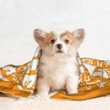 Tennessee VolunPet Blanketrs PL1ush Pet Blanket, Cozy Fan Pet Blanket, Game Day DE Cor, College SporGift, Dog Lov .1PC Flannel Pet Blanket, Suitable For Both Ca And Dogs, Suitable For All Seas1ons, Can Be Used As A Bed Mat. Doublesided PL1ush, Skinf1riendly, Nonshedding, Scratchresistant, Hine Washable, And Antistatic. - one-size - View 4