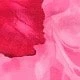 Pink Flowers