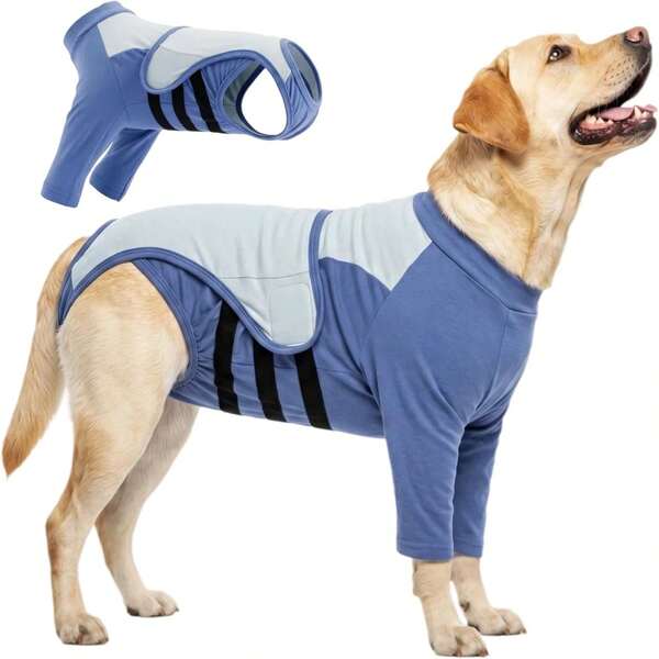 Traje de recuperación para perros (versión de pata delantera), evita el lamido, facilita el uso del baño, adecuado para la recuperación postoperatoria como alternativa al collar isabelino; traje de protección de codo para perros pequeños, medianos y grandes; traje para esterilización/castración y pañal para perras