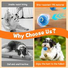 LED Motion Dog Ball – Automatic Rolling, Tough Rubber Build, Rechargeable For Endless Fun - Blue - View 3