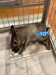 Summer Pet Cooling Aluminum Plate, Small Pet Hamster Heat Relief Cooling Mat, Aluminum Material, Effective Cooling, Summer Rabbit Lying Mat, Dog & Cat Cooling Products - View 8