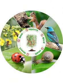 1 buah/3 buah Jaring Pohon Buah Besar, Tas Pelindung Buah dan Tanaman dengan Tali Serut, Penutup Jaring Hortikultura, Cocok untuk Penutup Jaring Tomat, Pembatas Tanaman Kebun, Dapat Digunakan untuk Sayuran, Buah-buahan, dan Bunga. - MultiWarna - View 5