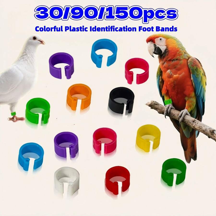 Multicolor Plastic Pigeon Leg Rings Bird Foot Bands For Pet Bird Training Flying Competition Identification Tracking - 150pcs - View 1