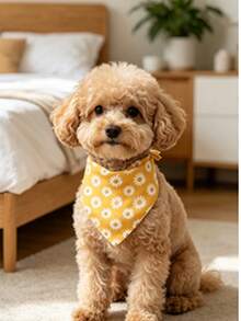 2 piezas Pañuelos triangulares lavables con estampado de margaritas y sol para perros y gatos pequeños y medianos - Multicolor - Ver 3