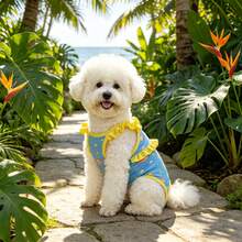 Pet Swimwear For Beach Vacation, Blue & Yellow Colorblock Fish Print, Breathable Quick-Dry, Outfit For Small Dogs & Cats To Swim And Take Photos - Blue - View 5