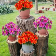 Yuejia 1/2 Pcs Artificial Outdoor Flowers Realistic Fake Hibiscus Tropical Flowers Spring Summer Decoration Faux Plants For Outdoors Planters Outside Porch Patio Yard Garden - Red - View 5